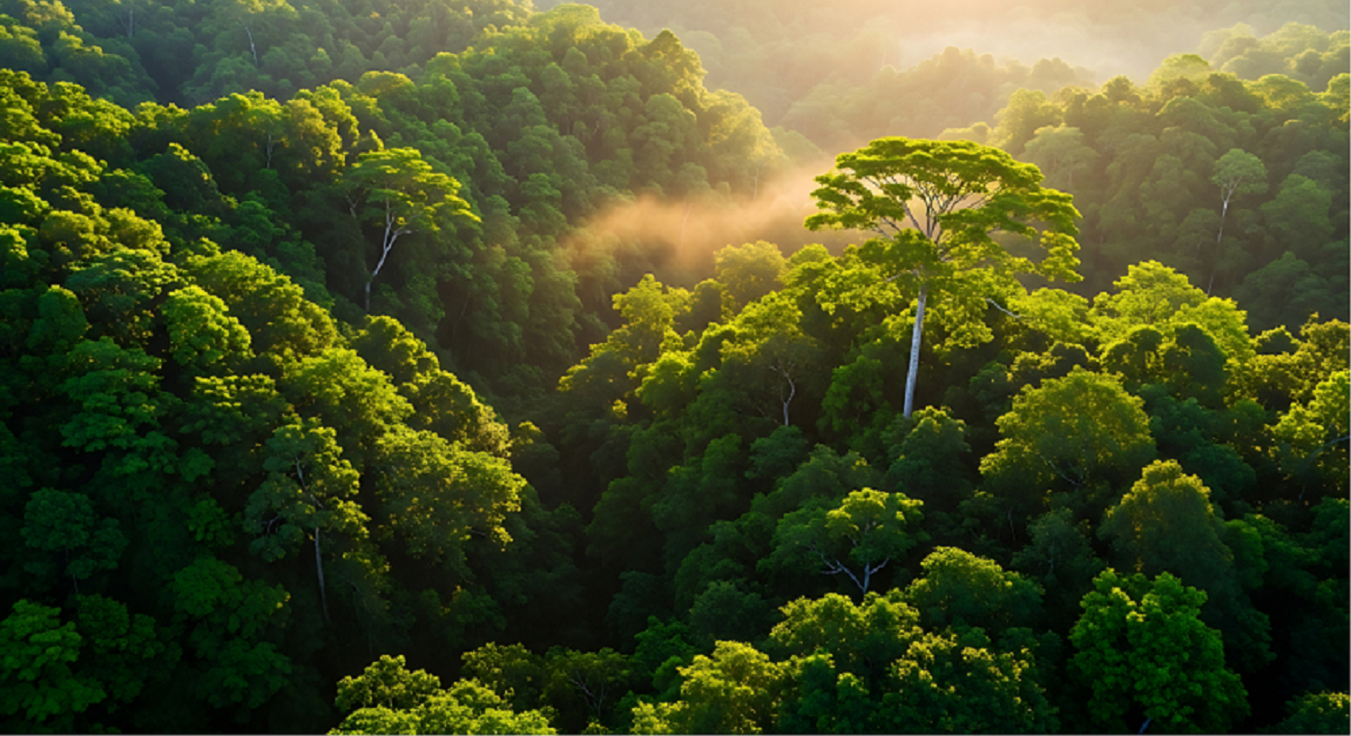 Journal de bord en territoire inconnu